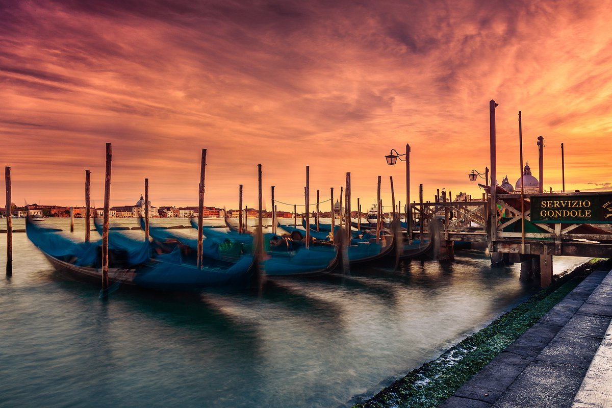 Amateur Photographer tweet media