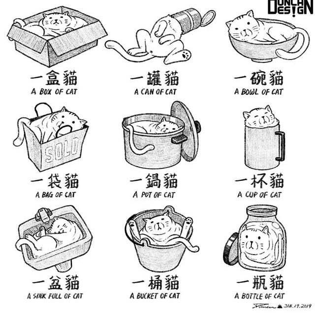 𝑴𝒂𝒌𝒐𝒕𝒐 On Twitter 中国語量詞の勉強 一盒猫 Box 一罐猫 Can 一碗猫 Bowl 一袋猫 Bag 一锅猫 Pot 一杯猫 Cup 一盆猫 Sink Full 一桶猫 Bucket 一瓶猫 Bottle Pic From Duncan Design Https T Co O74w99mjca Twitter