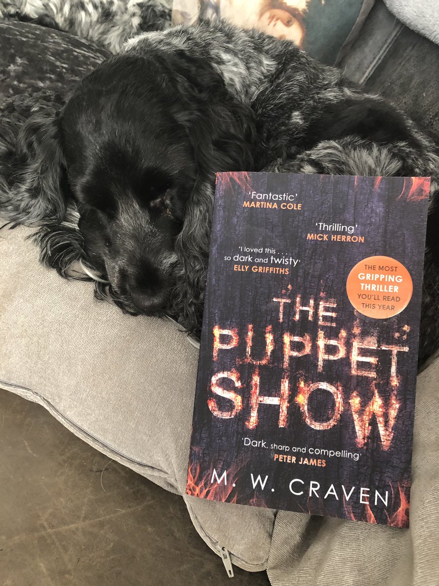 Today I am starting The Puppet Show by @MWCravenUK.  Thank you to @LittleBrownUK for my review copy, modeled by Bailey. #bookstoread #bookblogger #thriller #thepuppetshow