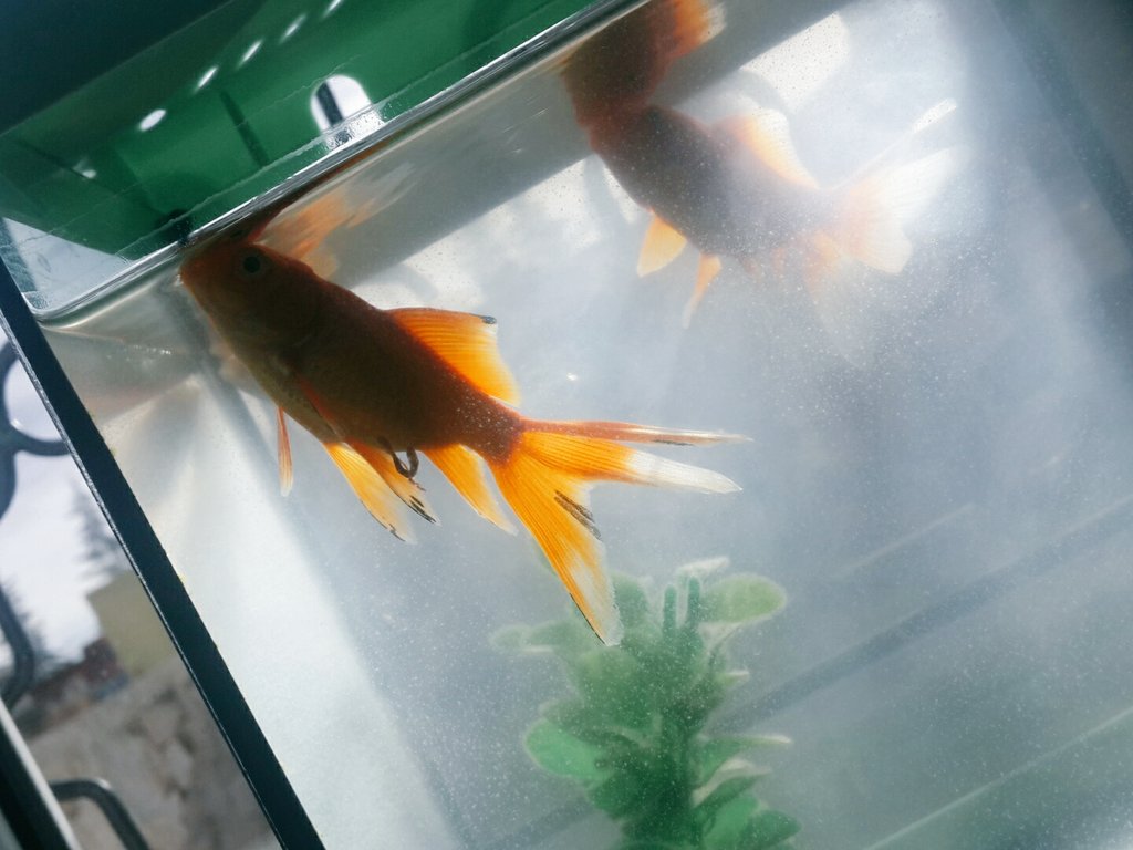 nilfer (@nlferdogan) on Twitter photo 