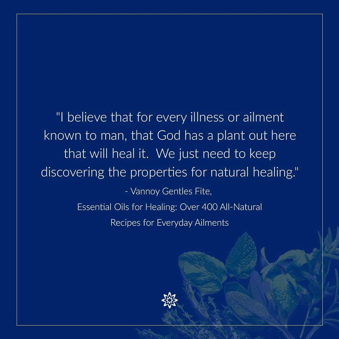 VedaEarth's tweet photo. Vannoy Gentles Fite (Saltillo, TX) is a certified Ayurvedic life coach, a certified herbalist, a certified aromatherapist, and a licensed yoga instructor. #ayurvedic #aromatherapy #quotes #yoga #veganlifestyle #bengaluru #India #vedaearth https://t.co/DAwGRECcQr