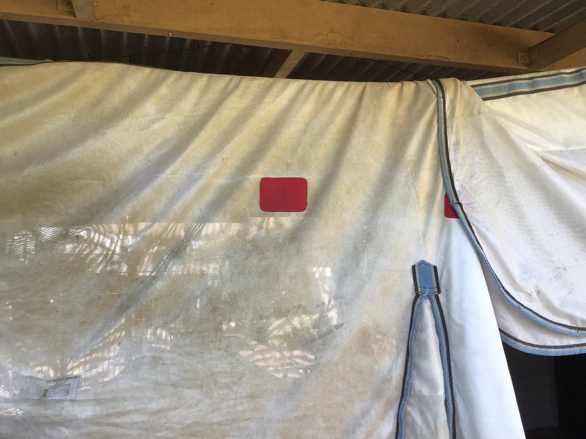 ripitpatchit's tweet image. Yep, ripped agin, fixed again. No need for new rug with these fantastic patches! #equine #horseaddict #horselover #repairkit