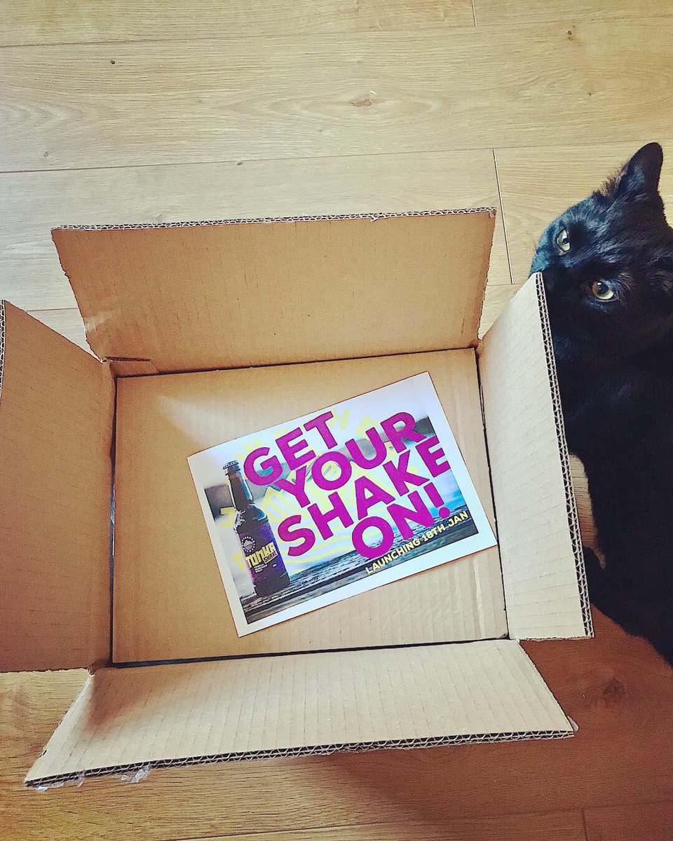 daisyturnell's tweet photo. Hey, @HawksheadBrewer - Miró says thanks for his present ❤️ 

#miróthebeercat #tryanuary #getyourshakeon #blackcatsrule https://t.co/BZCOC2XOWS