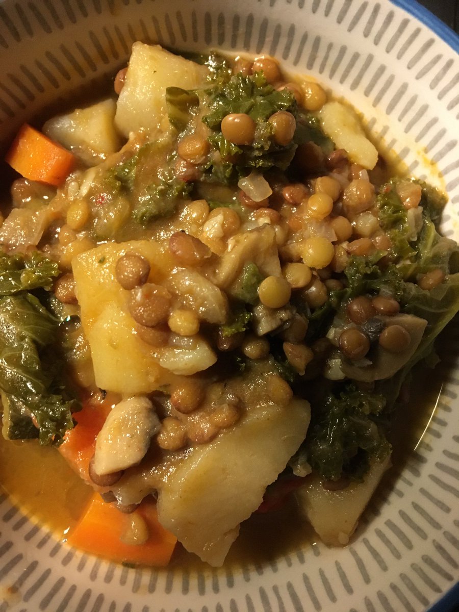 paulthepari's tweet photo. There are not many more warming moments than sitting by the logburner with your dog and a bowl of lentil and Vegetable stew. #vegan #veganism #plantbased #lentil #potato #carrot #chilli #garlic #mushroom #corgette #kale #followme #follo https://t.co/nHphvQB9GS