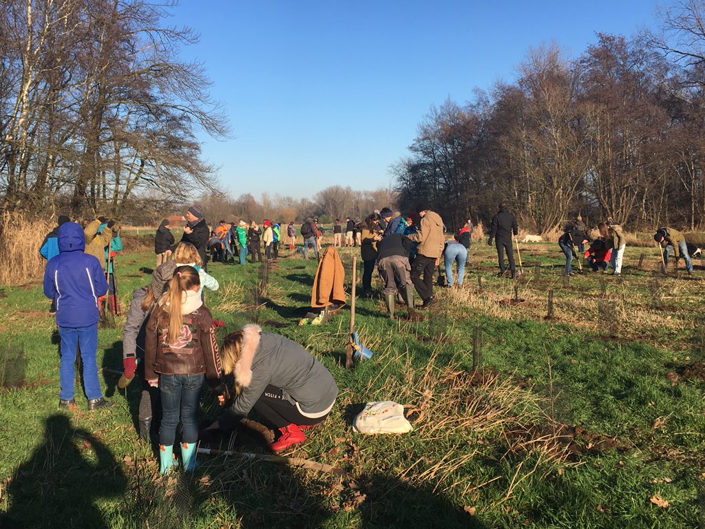ldemuele's tweet photo. Last december, the NGO Bos+ said they would plant one tree for every participant of the Belgian #climate march. Thanks to the 90k+ people turnout they are now a bit overwhelmed, so today, hundreds of people volunteered to give them a hand. We planted 3000+ trees in Willebroek https://t.co/Rx3Uqyc2cJ