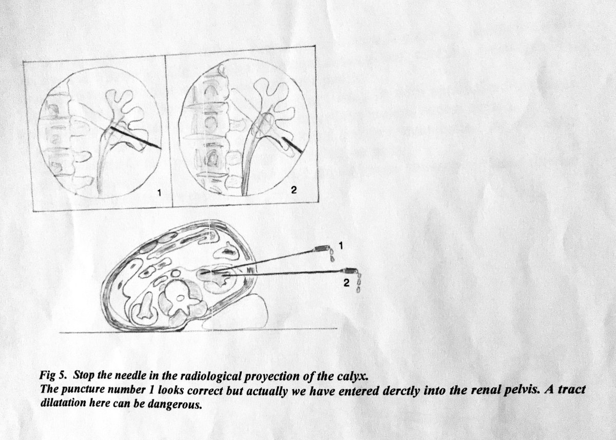 ECIRS   starting a new handbook with Mikel Gamarra’s drawings