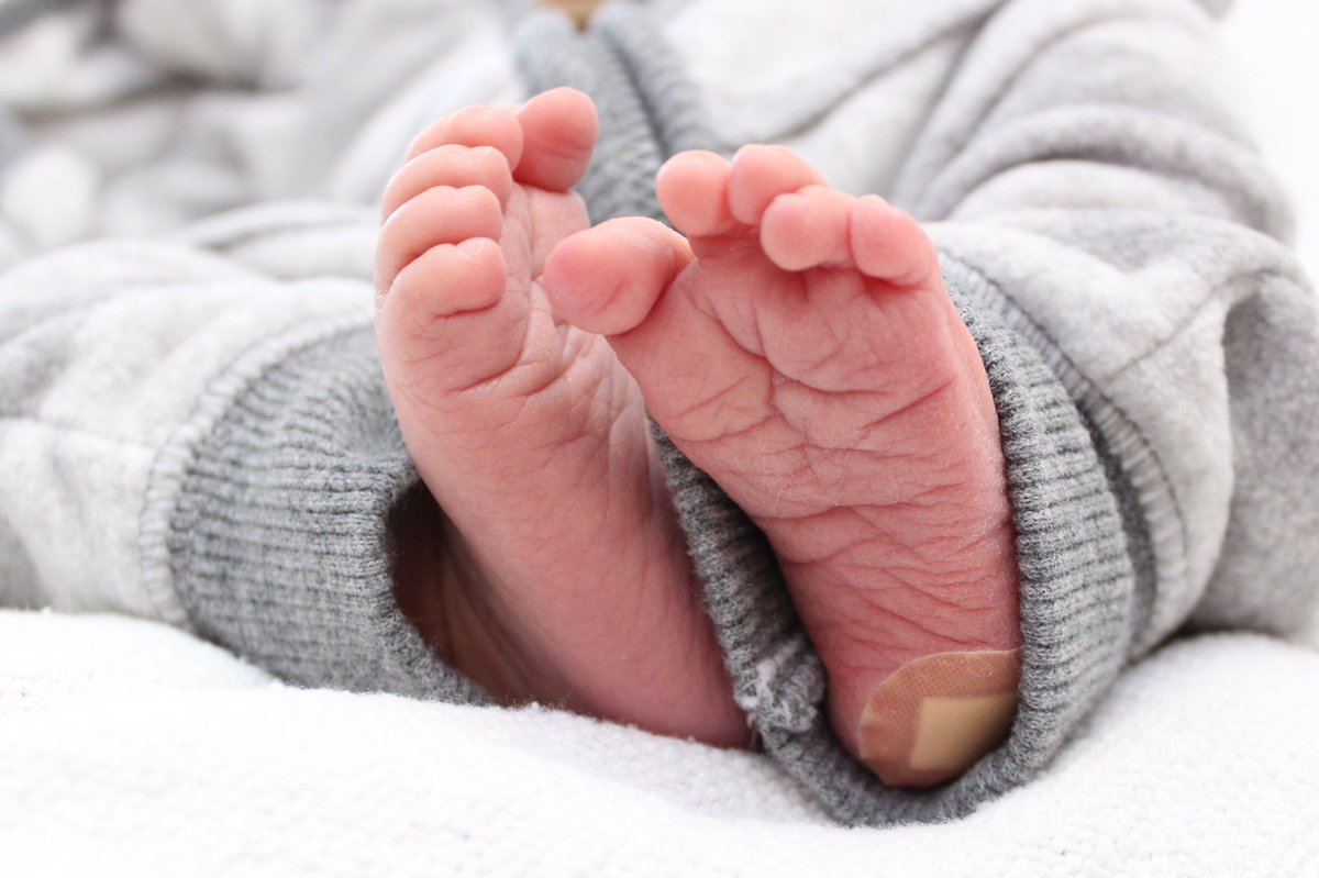 carrie wright tweet media