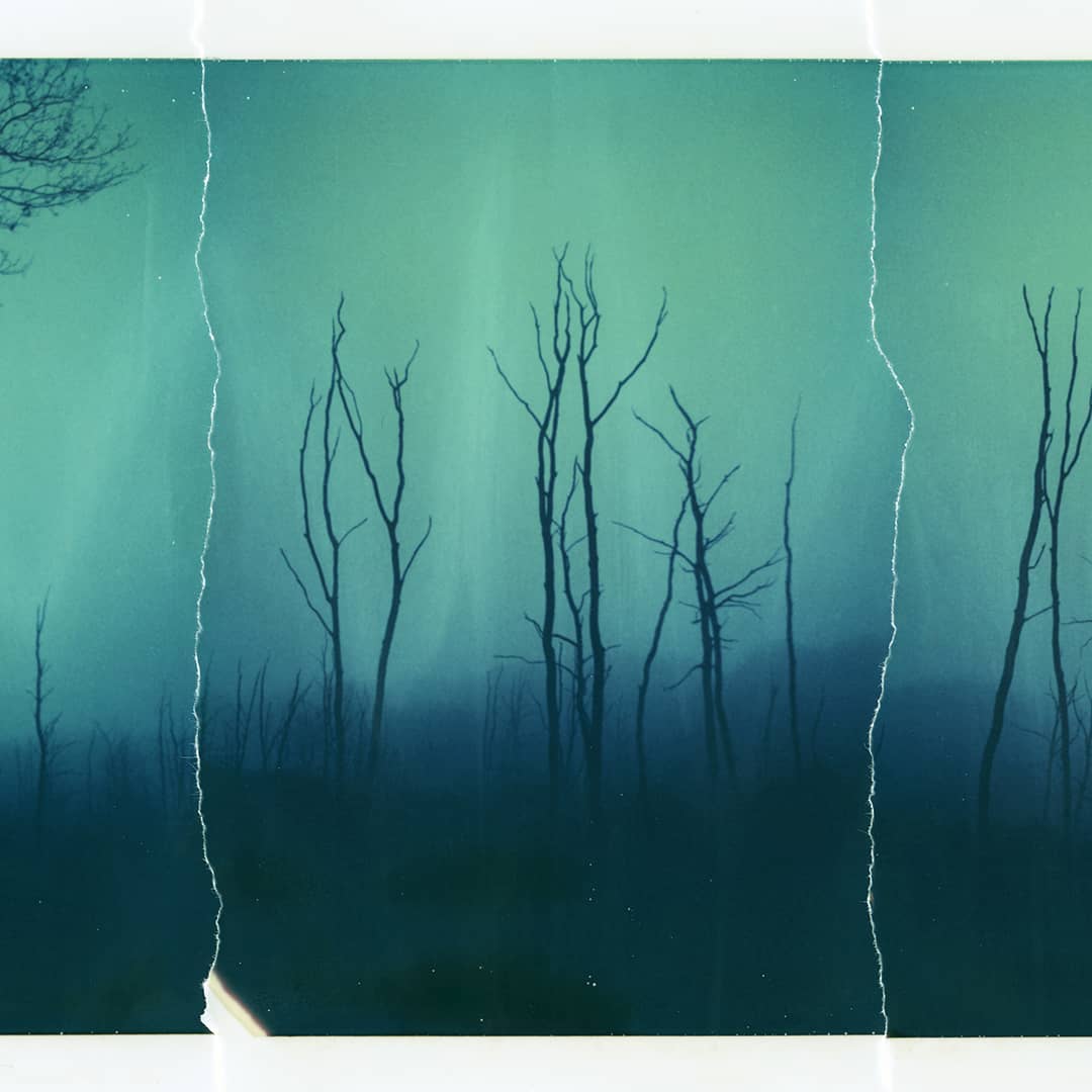 analog4everzine's tweet image. Photo of The Day: &quot;Countrysuisse&quot; by @m6met on Instagram: Captured on a Polaroid Pro Pack Camera and Exposed on Expired Polaroid Type 669 Film! See more of this photographer&apos;s analog photography by following him on Instagram at instagram.com/m6met/!