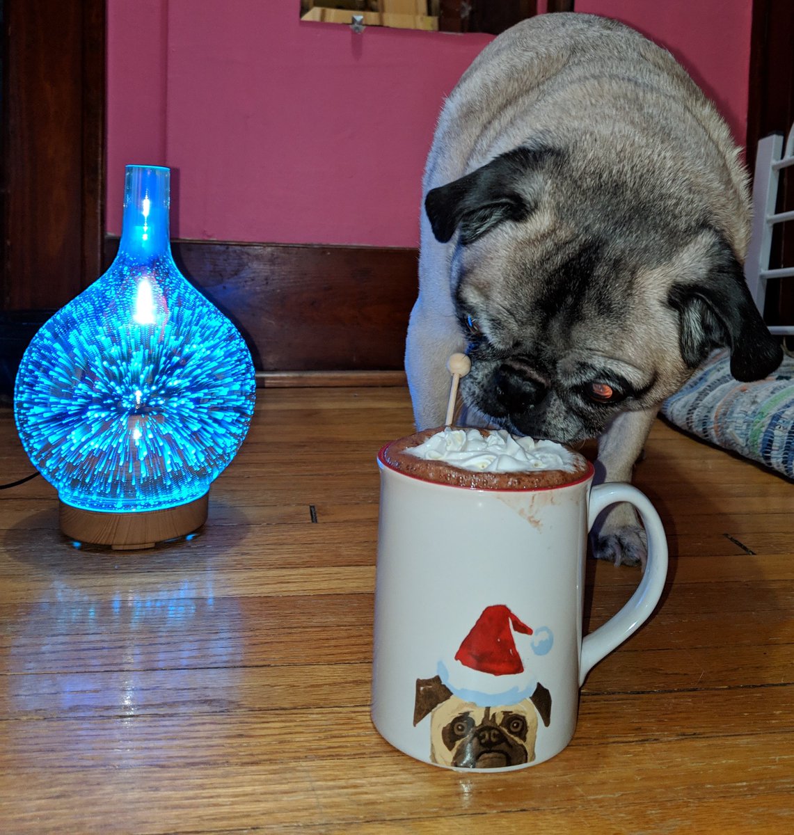 TimmyPamperdPug's tweet photo. Winter Treats
Make sure after shoveling by hand you have hot cocoa, aromatherapy, Netflix and your fuzzy pets ready to snuggle! ❄️💜💙☃️
#PugLife #BeOn2 #HotCocoa #SnowStorm #716dogs  #dogsofbuffalo https://t.co/xgAoV8c2XE