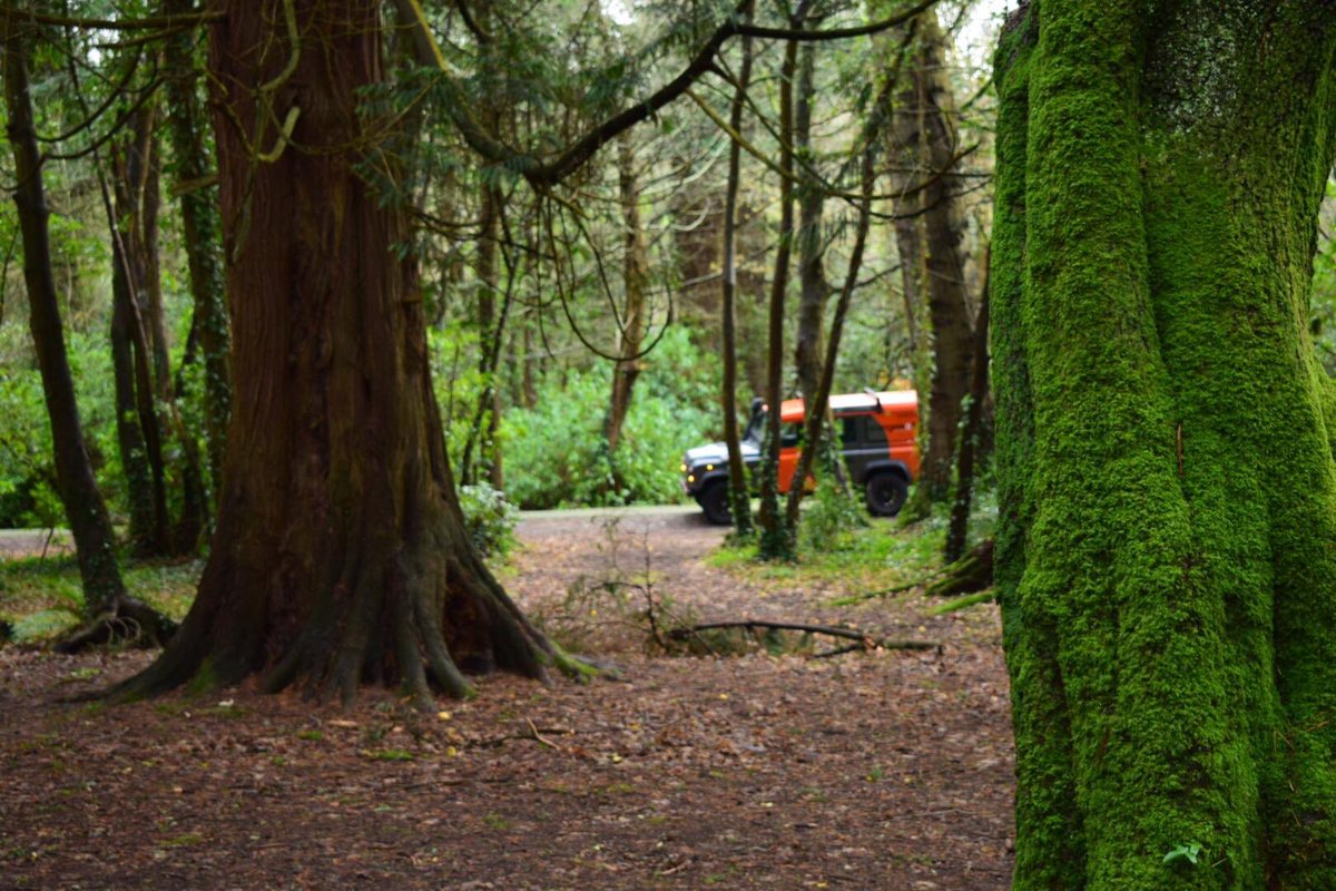 Super fun ride through <a href="/thepowerscourt/">Powerscourt Estate</a> Estate on these <a href="/fatbikingviking/">Fatbike Adventures</a> #FatBikes 👊🏻 So much fun! Thanks lads.