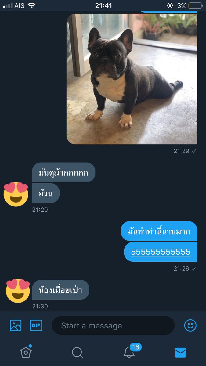 ซันล้อป tweet media