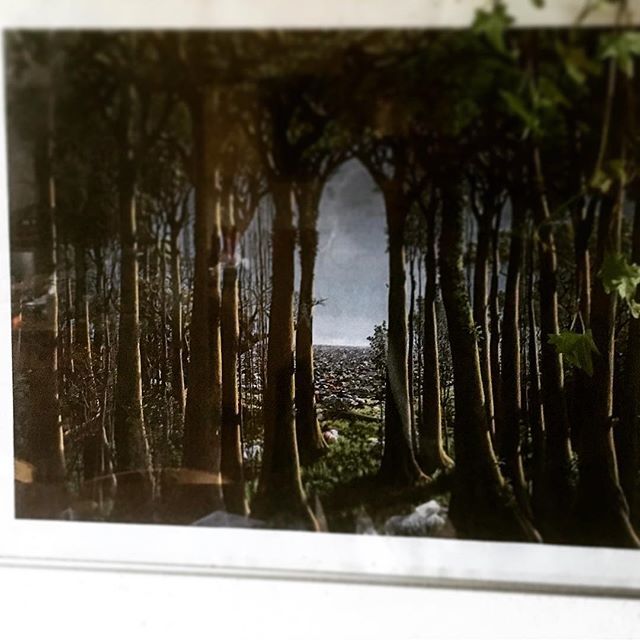 Lets get lost instagram.com/p/Bs2_8vQDfDa/