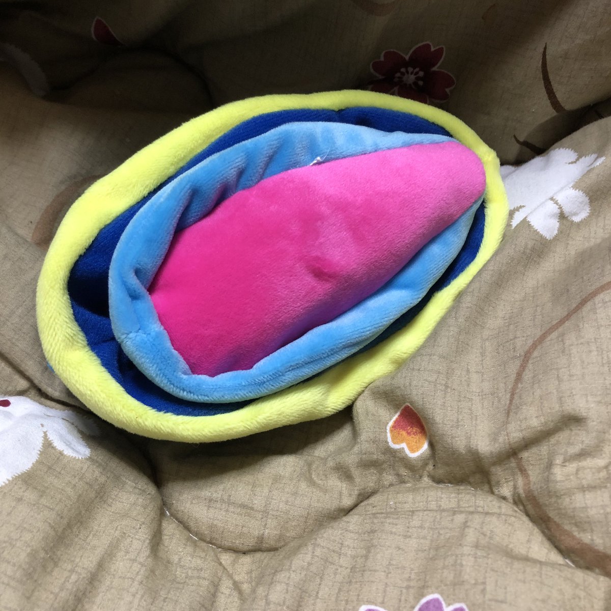 セレドリオ とこやん A Twitter 凪あすウミウシのぬいぐるみ届いたよぉー お腹赤いよぉー あのねウミウシ 凪のあすから 凪あす Nagiasu