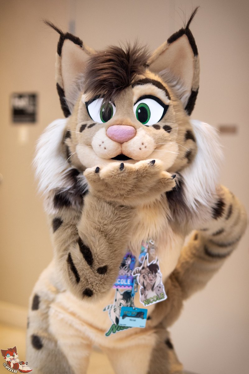 Here we have a cute lynx, Nicole!
Suiter: <a href="/nicnak044/">Nicnak044 @ bsky</a> 
Con: MFF2017