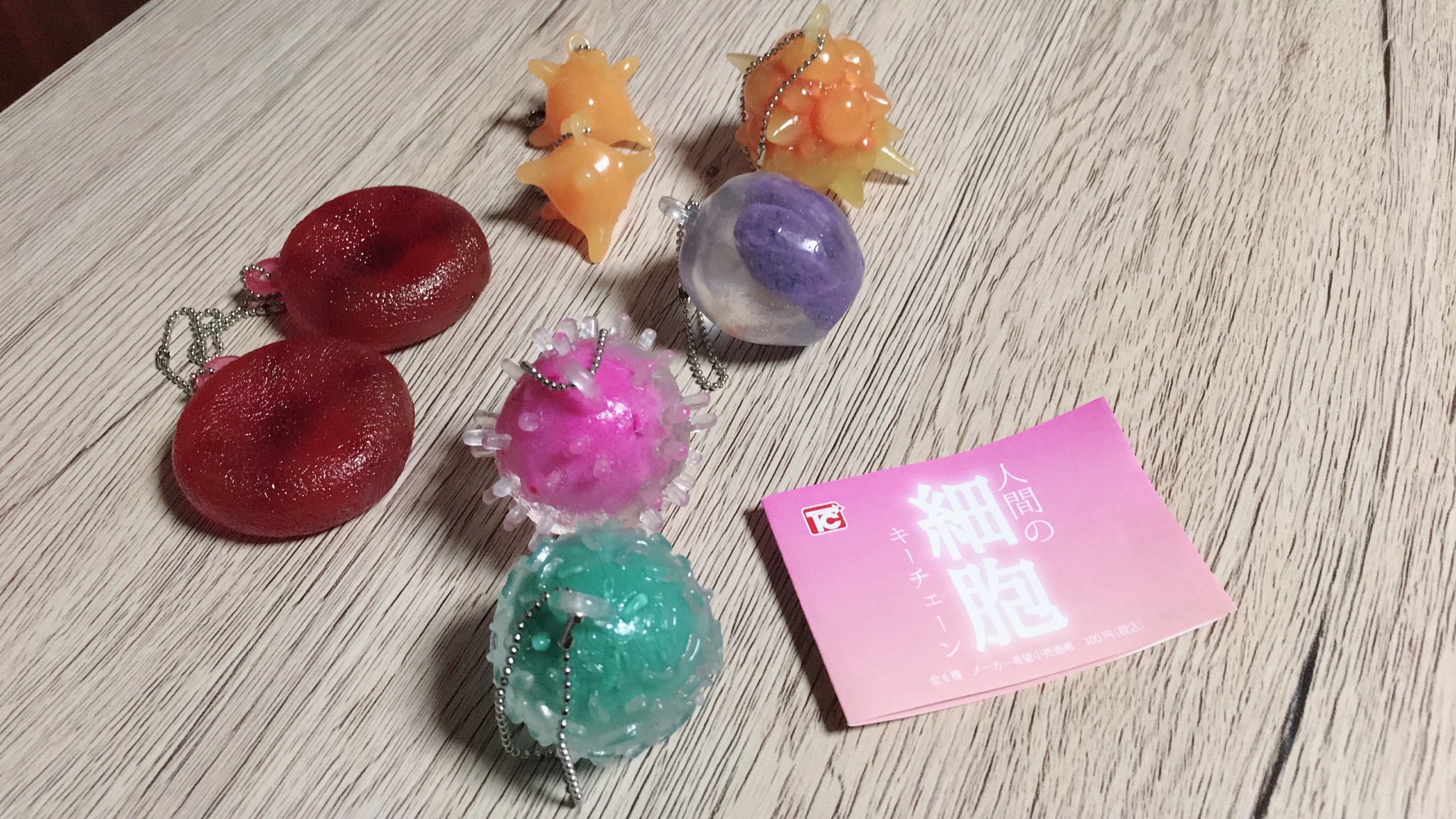 人間の細胞キーチェーン 全6種 コンプリート ガチャ - メルカリ