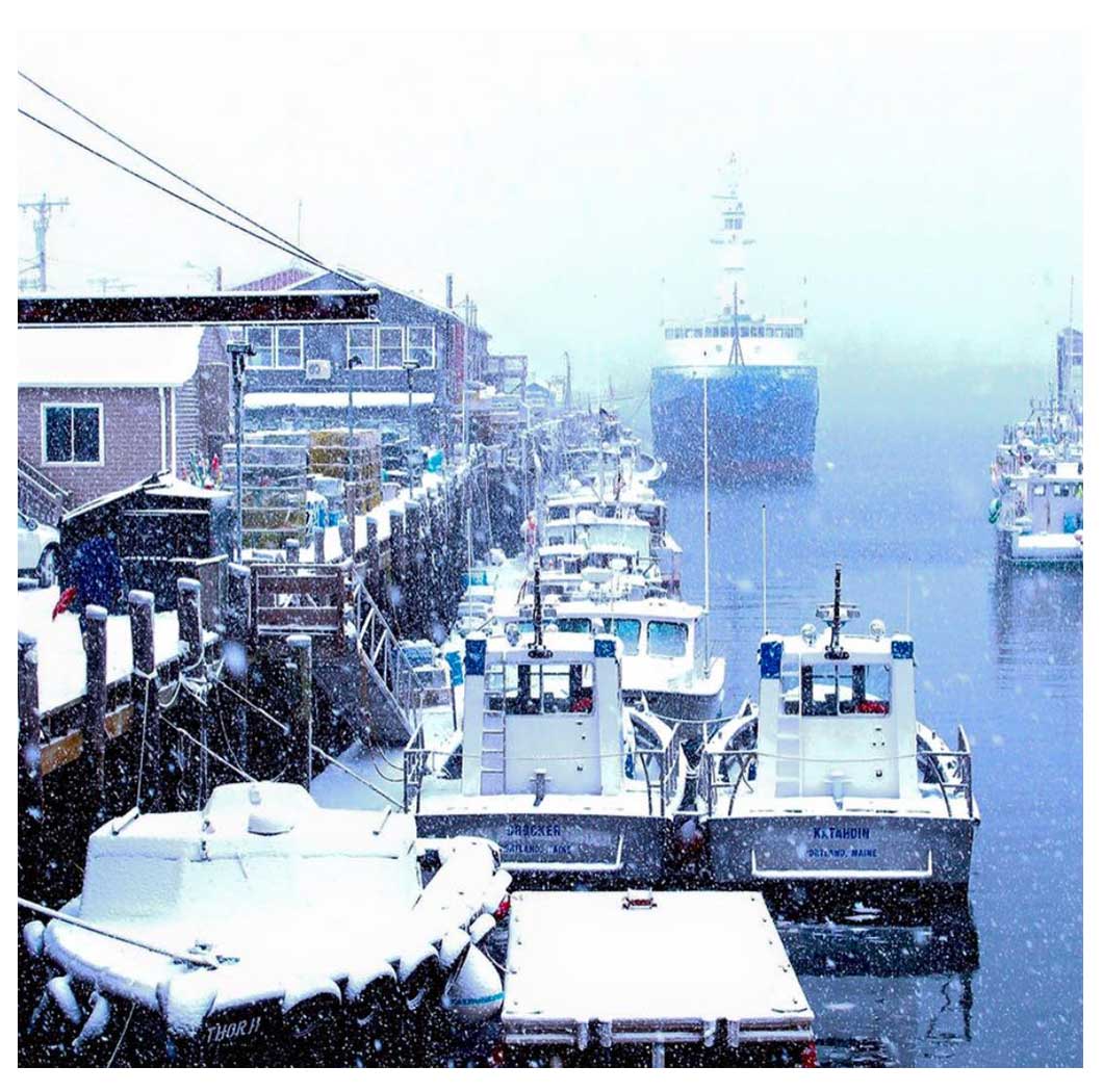 Liquid Riot Bottling Co. Brewing with maple sap