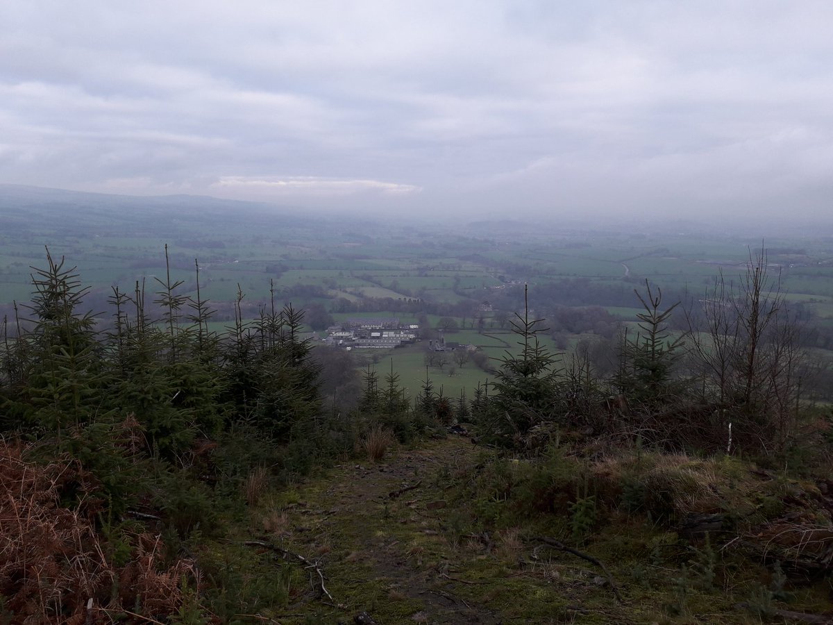 Suwen_He's tweet photo. A little foggy but a lovely day @ Longridge Fell #loveUKweather @metoffice @bbcweather https://t.co/ue6Z27ZFKJ