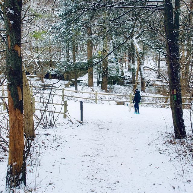 ...and miles to go before I sleep, and miles to go before I sleep... ❄️😴❄️ #snow #nature #naturephotography #hiking #trails #hikers #hikersofinstagram #dogs #dogsofinstagram #robertfrost #poetry #people #peopledelphia #6abcaction #forbiddendrive #wis… http://bit.ly/2U7eqPt
