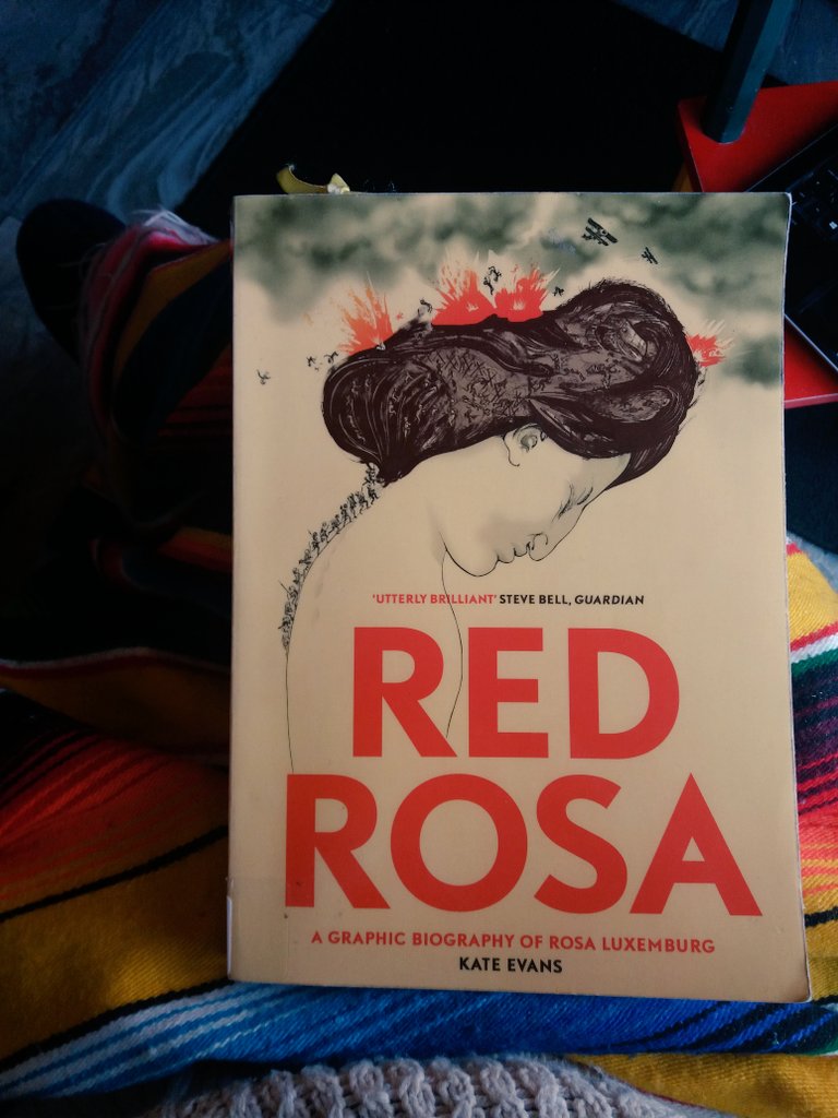 M1chelleMoore's tweet photo. Book 2 of 2019 π Enjoying this graphic biography - thanks @Cballantine for the recommendation! π #RosaLuxemburg #RedRosa #GraphicNovel #Biography #Socialist #Activist #BookWorm #ReadItAndTweet #AmReading #LibraryBook #KateEvans #Cartoon #Art @VersoBooks https://t.co/jqM7rfARYN