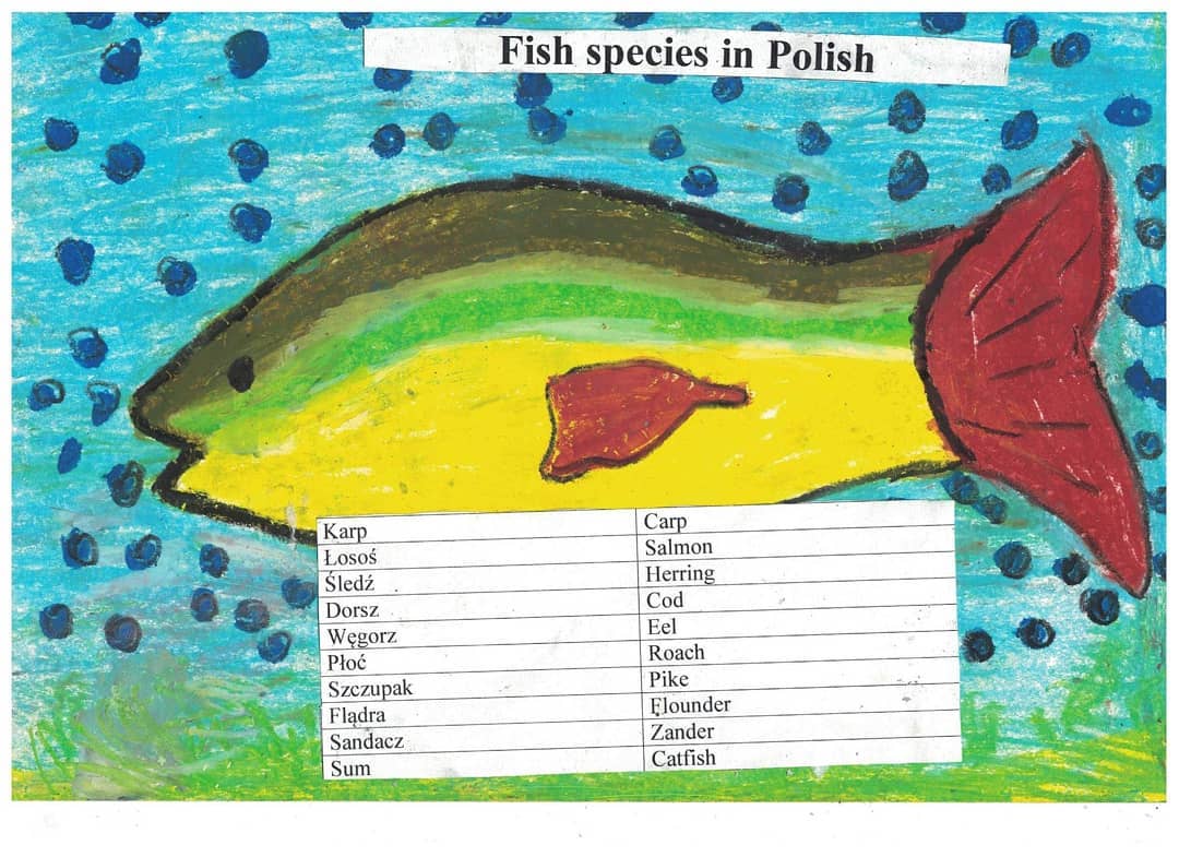RetinaWith's tweet image. How to say one of those fish in your language? Have you ever been fishing in Poland?:)