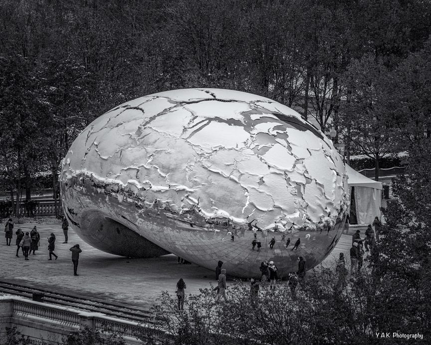 Have you ever seen a frozen Bean?

📷: kampspix