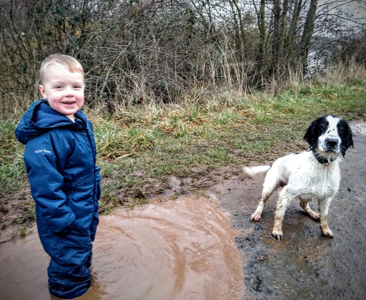 WMP_Dog's tweet photo. Puddle jumping with the baby hooman this afternoon. Cause that's what boys & spaniels do right?? #muddyspaniel #wetspaniel https://t.co/kahTeX5k9h