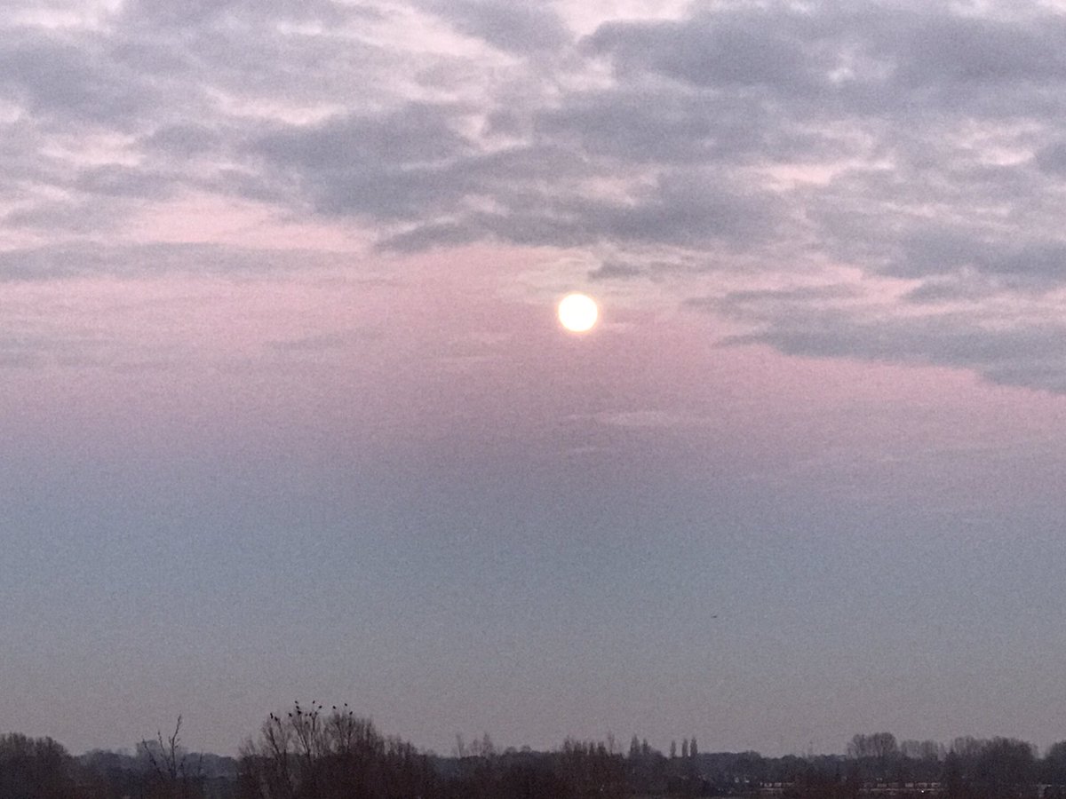 swbeth1's tweet photo. en aan de andere kant.. #Zwolle https://t.co/T6VZiQNF7w