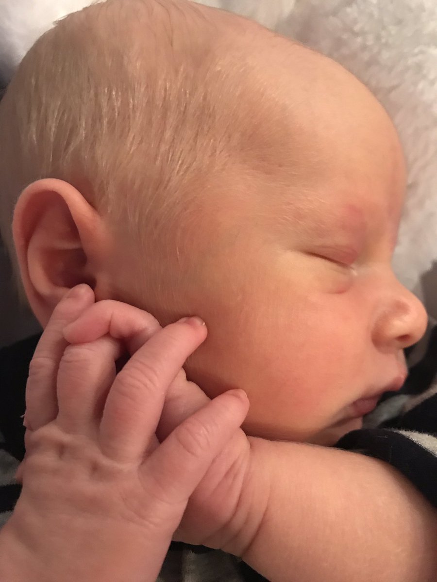 Richard Moschella (@richiemoschella) on Twitter photo 