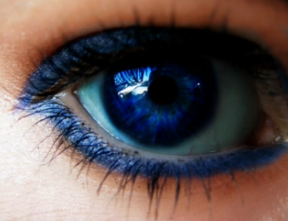 oftropicals's tweet image. Guys, I came across this video to change eye color and it was navy blue so I decided I wanna try, it won't hurt (unless my mom finds out lol) so I'mma update it daily to track progress :
Day 1 (and desired color) :