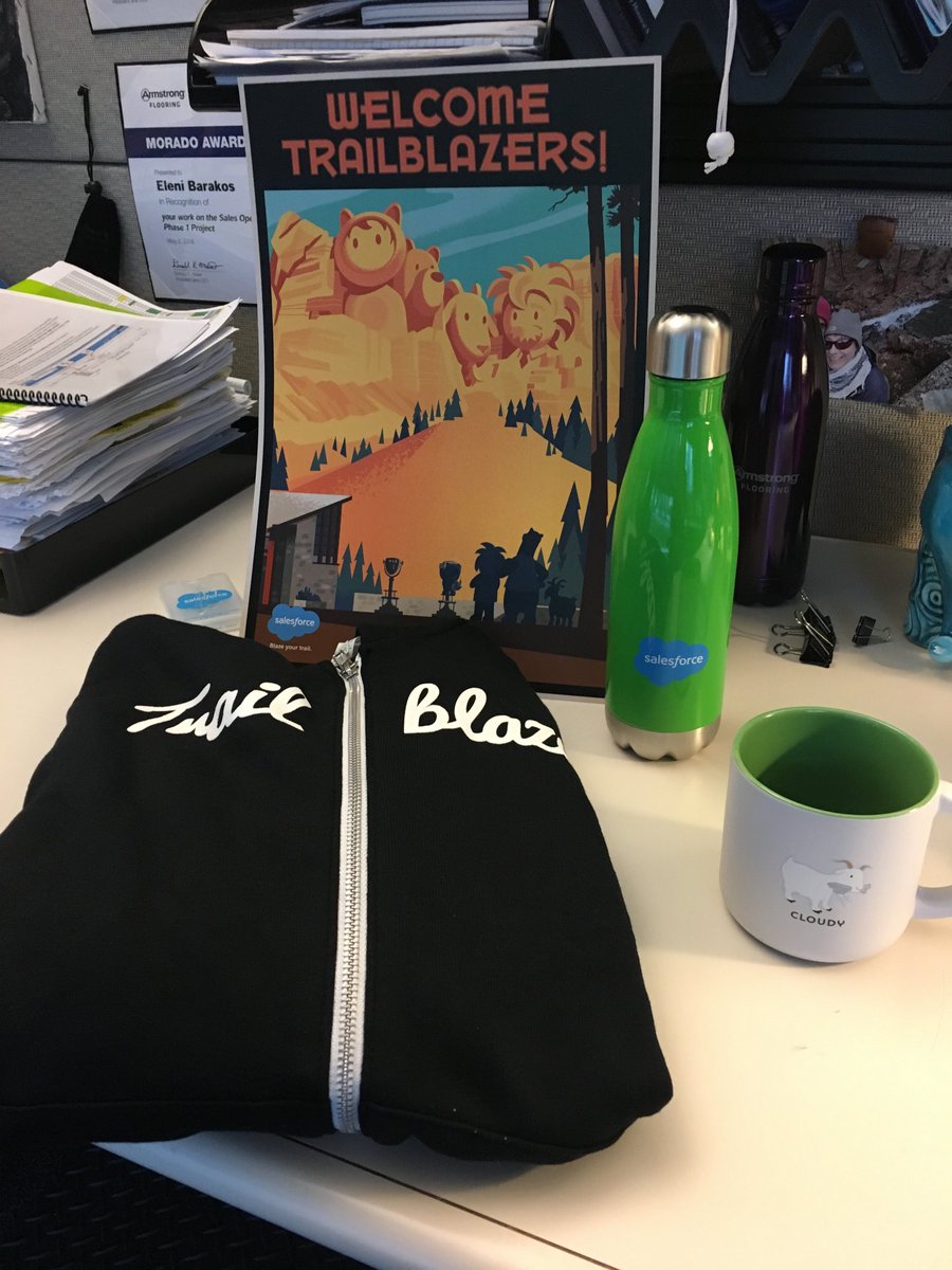 #Salesforce #salesforceswag found these gems when I came back from holiday break ! Love Salesforce