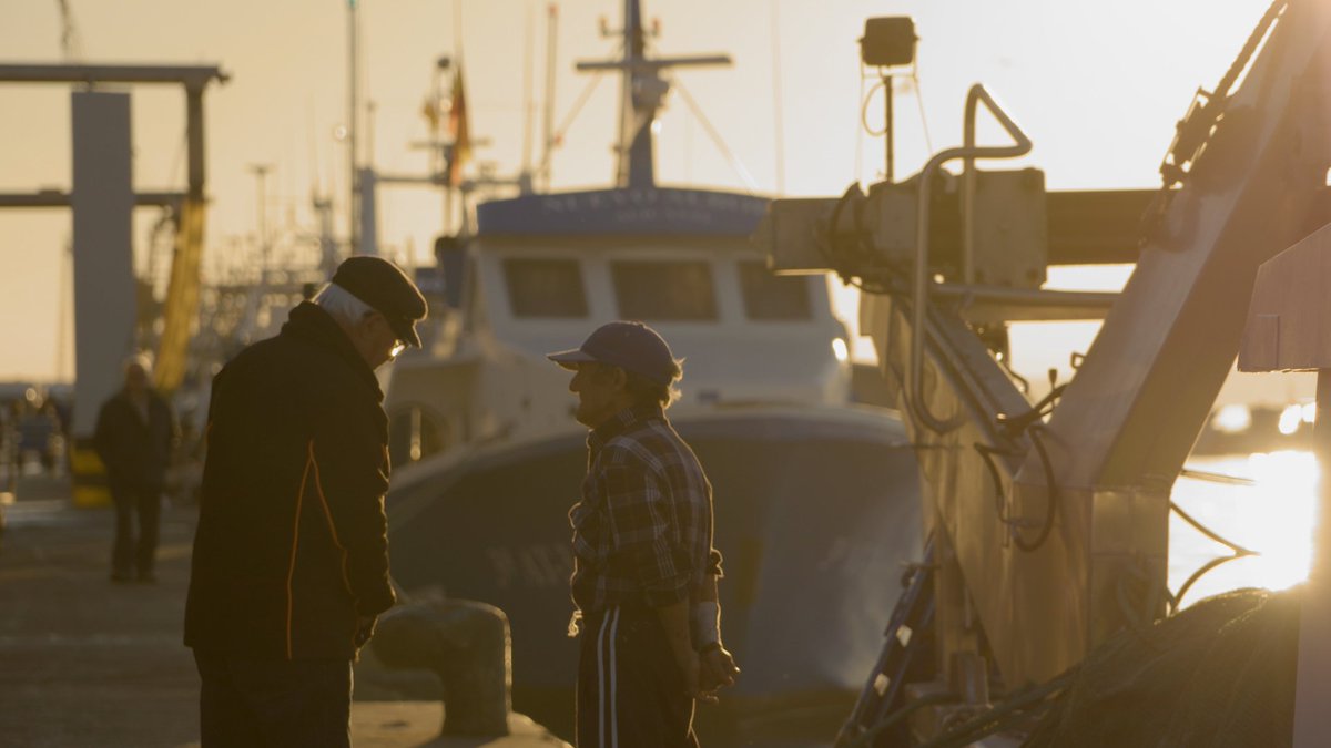 CCuiners's tweet photo. La brisa marina, els vaixells arribant, els ulls ben atents al producte... @RicardCamarena torna a la llotja!  🎣

Si trobaves a faltar l’ambient mariner no et perdes #CuineresiCuiners, dijous a les 22:40, en @apunt_media https://t.co/KrTgqO4gFS