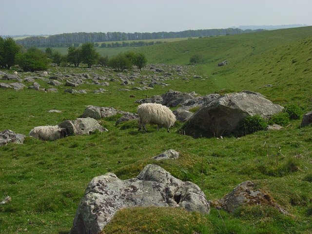 fgbi_pfc's tweet photo. Made a pilgrimage to Fyfield Downs for #lichenJanuary to view lichens on the Grey Wethers (https://t.co/I1oYx9rIkW), where the big sarsen stones at Avebury and Stonehenge came from. Classic site for Buellia saxorum and the usually coastal Xanthoparmelia loxodes. @BLSlichens https://t.co/AQrAeTS68I
