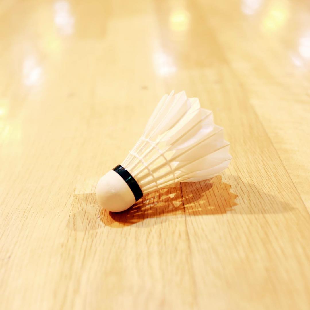 2019年 メンバーが230名を突破！
1月のイベントは週3〜4回で平均参加人数が20名前後と大変賑わっています✨現在、若干名の新規参加を受付しております☆S.F.Bホームページから、まずはゲスト参加申込をよろしくお願いします♪