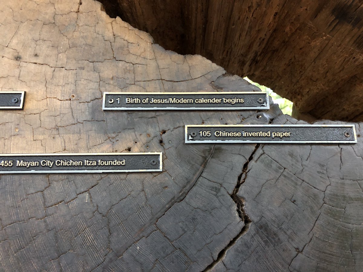 stemwhitney's tweet image. I’m spending the weekend in California checking out the redwoods, visiting family, and eating great chocolate. These trees put my 30th birthday in perspective. #geologictime