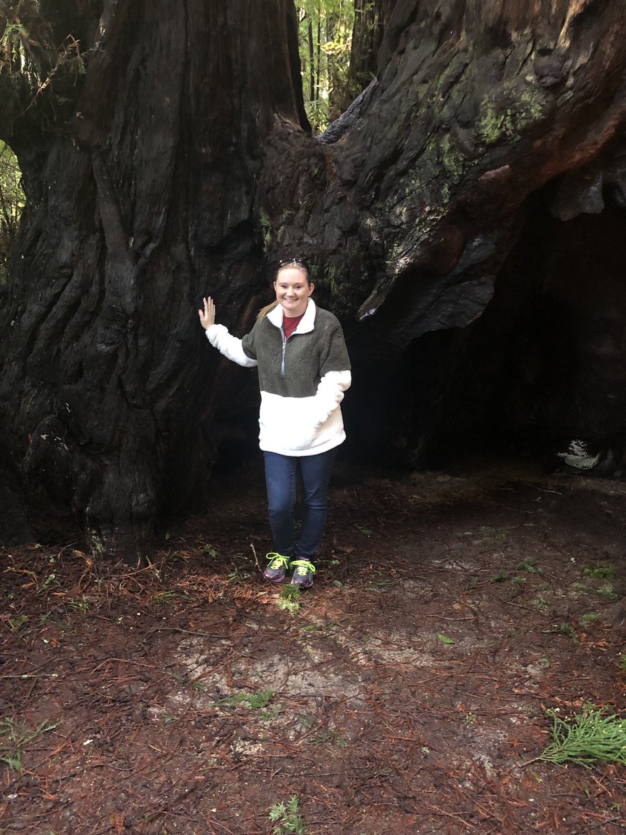 stemwhitney's tweet image. I’m spending the weekend in California checking out the redwoods, visiting family, and eating great chocolate. These trees put my 30th birthday in perspective. #geologictime