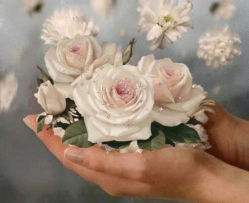 <a href="/ToniBakeer/">Toni Bakeer</a> <a href="/nsaidian/">💃NS💃🇺🇸🕊</a>