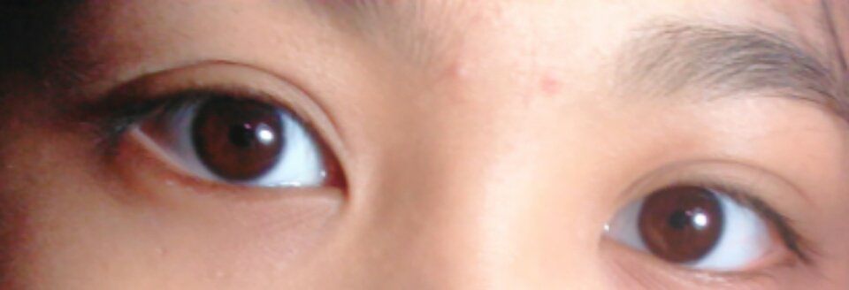 oftropicals's tweet image. See what I mean ?