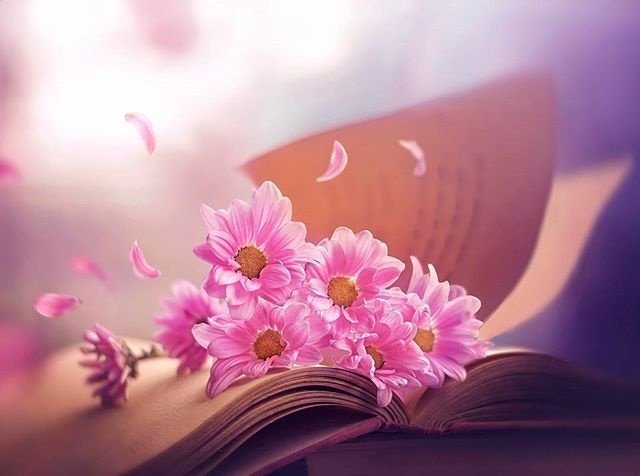 <a href="/smile26917739/">smile</a> <a href="/nsaidian/">💃NS💃🇺🇸🕊</a>