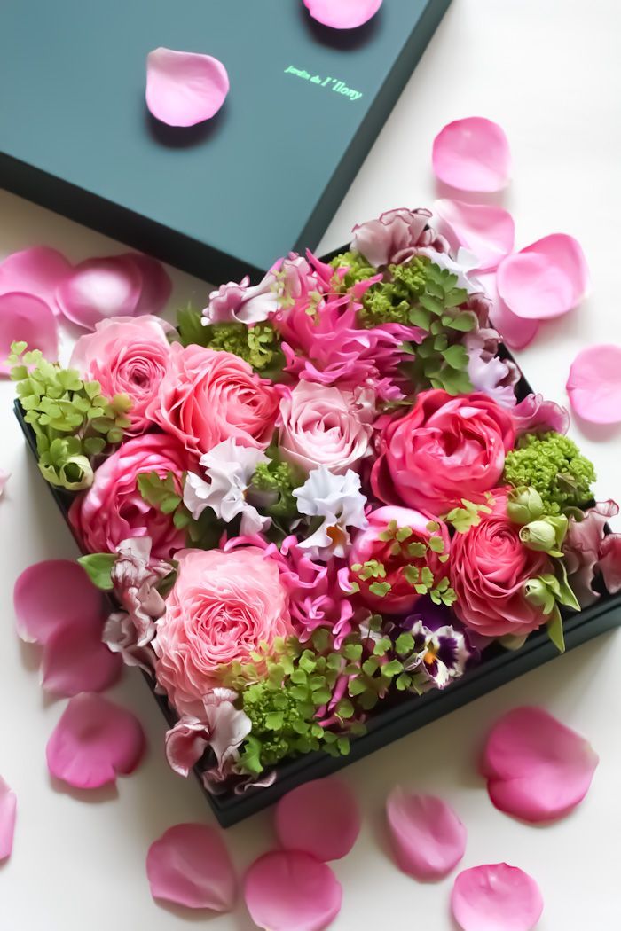 <a href="/smile26917739/">smile</a> <a href="/nsaidian/">💃NS💃🇺🇸🕊</a>