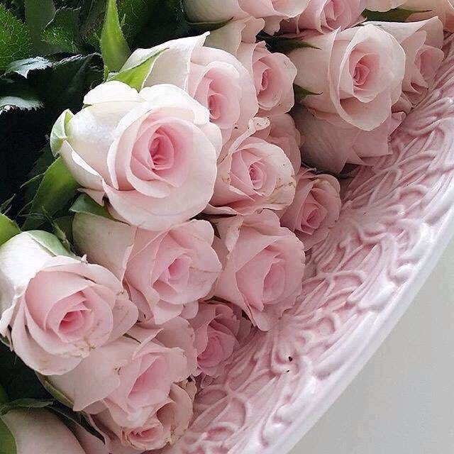 <a href="/ToniBakeer/">Toni Bakeer</a> <a href="/nsaidian/">💃NS💃🇺🇸🕊</a>