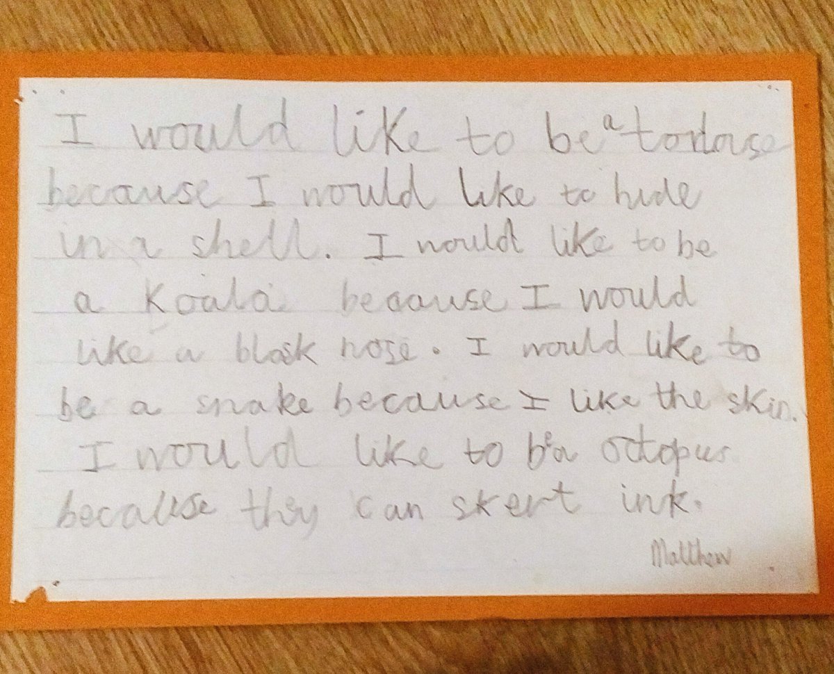 kiwidogsteve's tweet image. Great dreams from 6 year old #DREAMS #Mindfulness  #iwishiwas  #tortoise