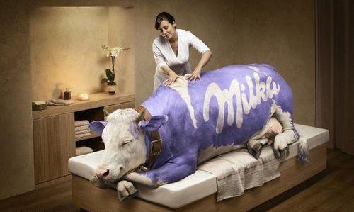 Certains groupes industriels n'hésitent carrément pas à laisser penser que les vaches utilisées pour fabriquer leurs produits sont traitées chez eux comme dans un salon de massage.