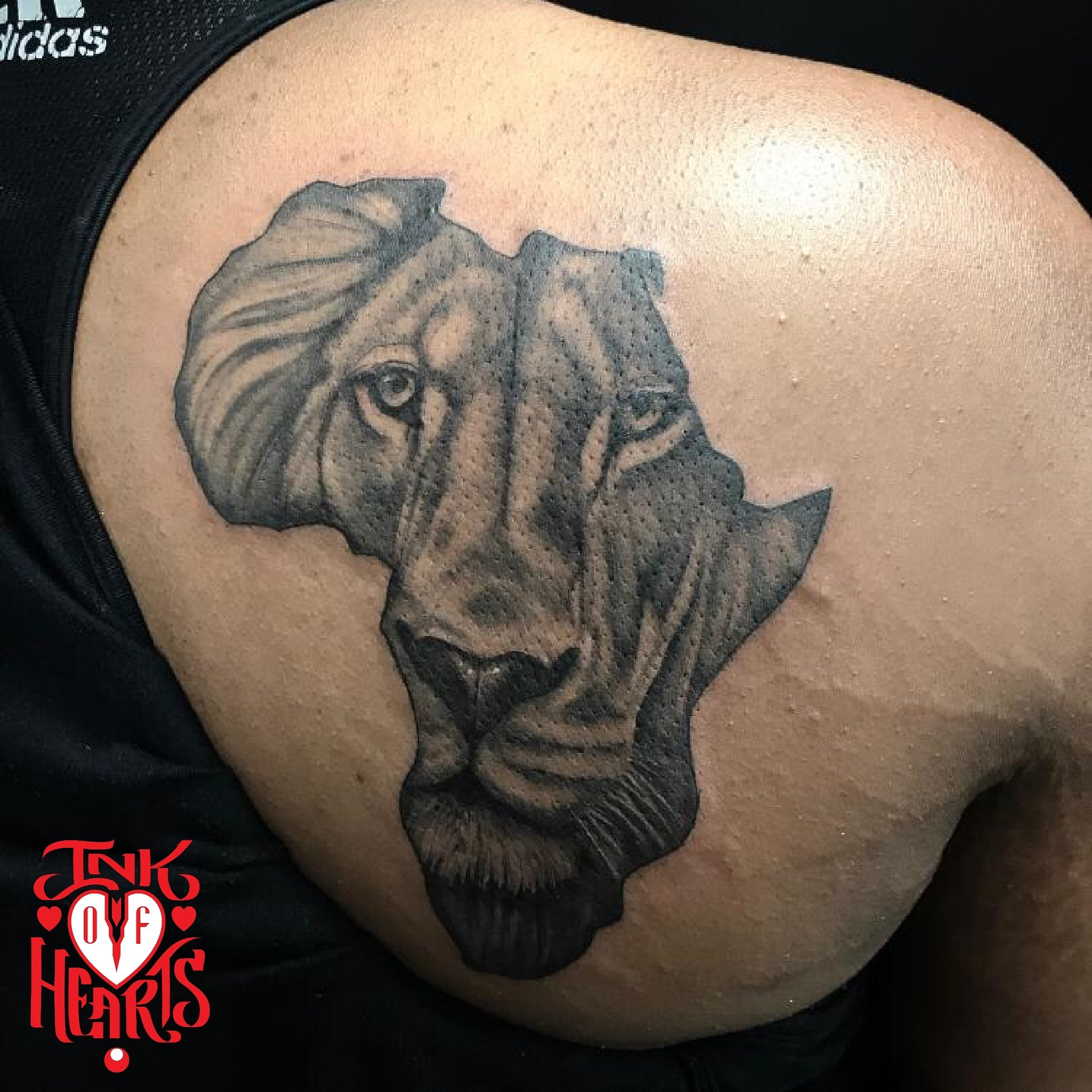 africa-map-with-lion-tattoo-45-another-best-tattoo-of-african-map
