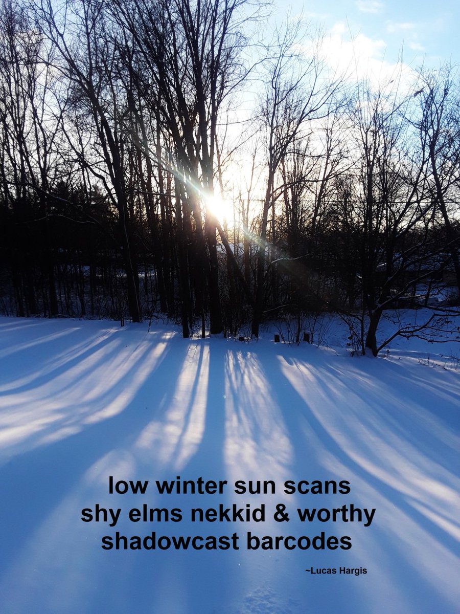 LucasMight's tweet photo. Something Like A Winter Haiku https://t.co/DTBR2VnSWJ https://t.co/01viG9adRg