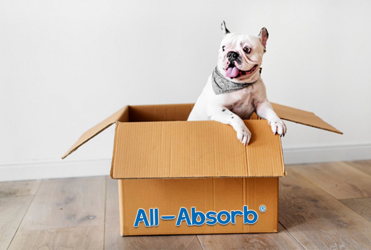 AllAbsorb's tweet image. Thinking about moving? Sometimes moving can make even the most trained pets have accidents.  No worries! All-Absorb has super absorbent layers to help protect ur new floors while ur pets get acclimated into their new surroundings! All-Absorb.com #AllAbsorb #trainingpads