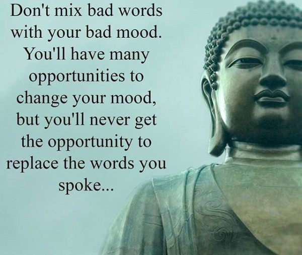 RahulBriyarpuri's tweet photo. @SrBachchan #buddhaway... https://t.co/ejw3tKjWq1