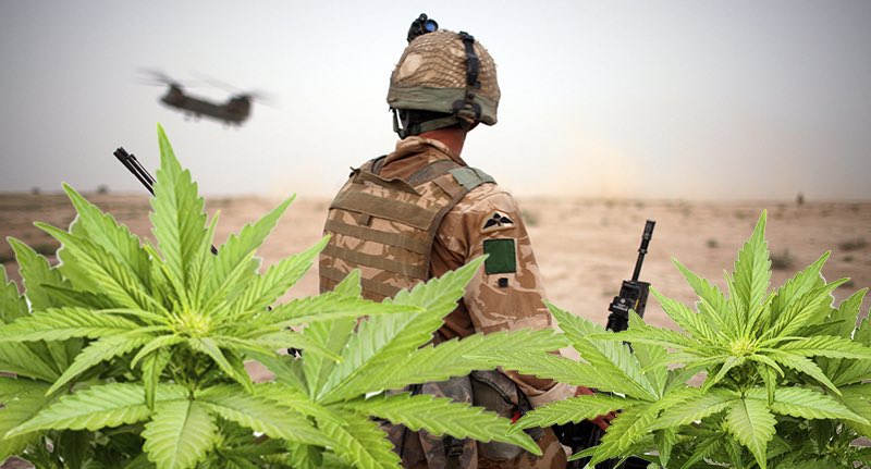 planethybrid's tweet photo. Veterans suffer from a variety of ailments like PTSD, pain, depression and anxiety. Cannabis and CBD can help manage these symptoms. If you’re a Veteran in need of help, please reach out! 🇺🇸🇺🇸🇺🇸#planethybrid #cannabis #cbd #legalizeit #cleanmeds #ditchthepills #educateyourself https://t.co/ItIqaWuktY