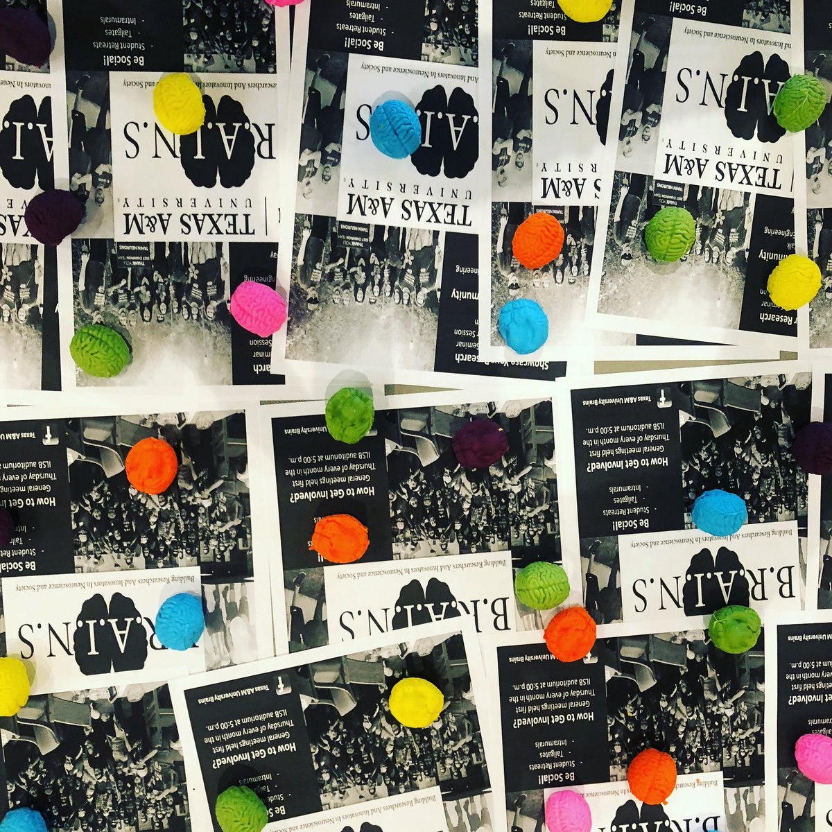 MSC Open House! Aggies - come stop by to learn about the cool things B.R.A.I.N.S. is up to this year.