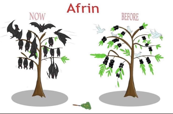 Barışın simgesidir Afrin #FreeOccupiedAfrin