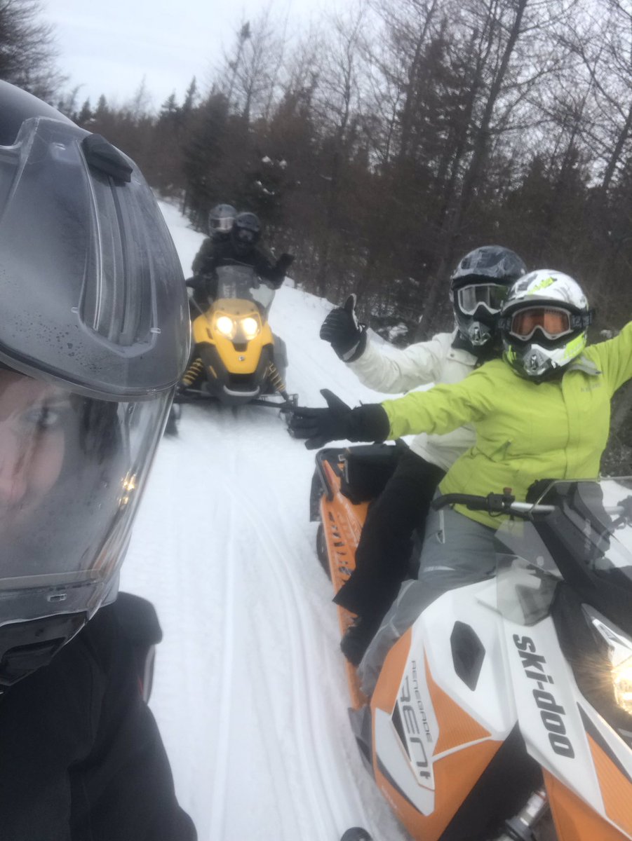 Melissa Royle (@melissaroyle) | Twitter